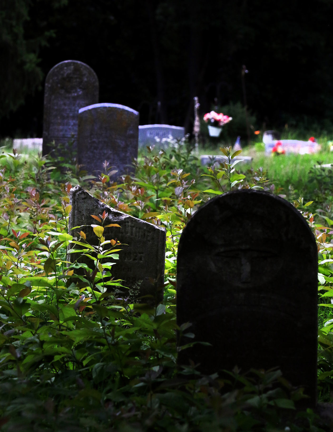 Fairmount Cemetery 05